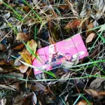 Corinaldo: parla la nonna del minorenne indagato: 