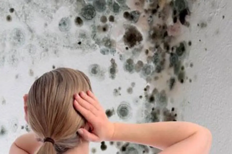 Come togliere la muffa dai muri, consigli e rimedi naturali