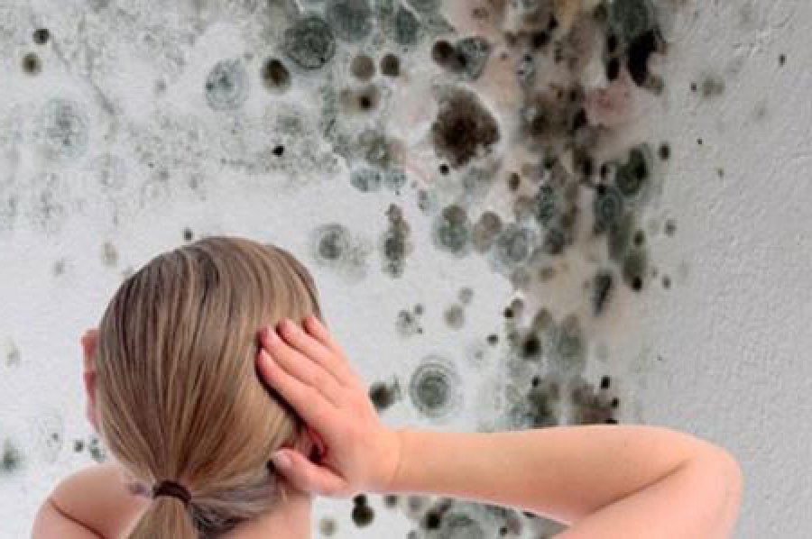 Come togliere la muffa dai muri, consigli e rimedi naturali