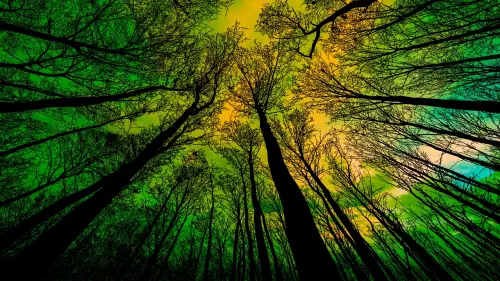 Come aprire un campeggio: le linee guida