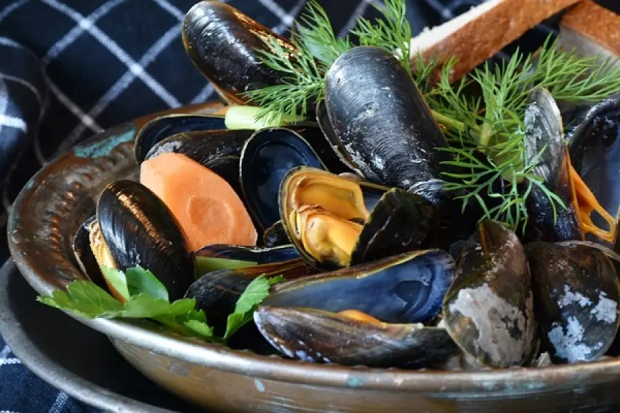 Taranto, vendevano cozze alla diossina rubate