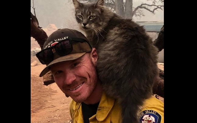 California: gatto viene salvato da un pompiere e ora non vuole più staccarsene (VIDEO)