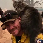 California: gatto viene salvato da un pompiere e ora non vuole più staccarsene (VIDEO)
