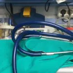 Veneto in allerta per il virus epidemico di Chimera