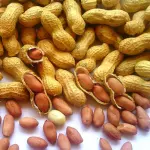 Allergia alle noccioline? Forse c'è la cura