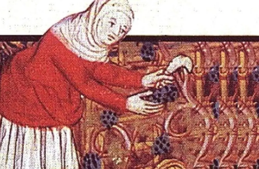 Perché si dice Fare la cresta?