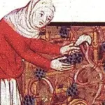 Perché si dice Fare la cresta?