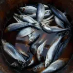 Fare il pesce in barile, storia di un modo di dire