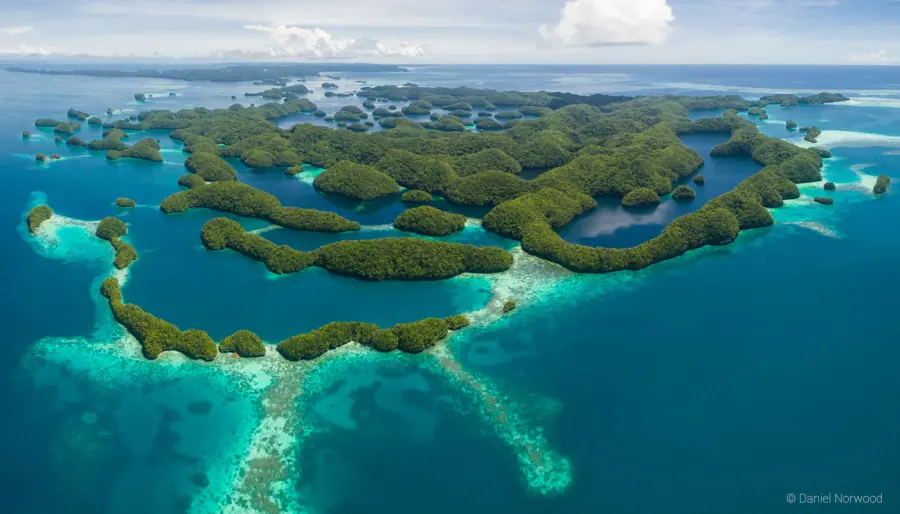 Palau: vietate le creme solari, danneggiano la barriera corallina