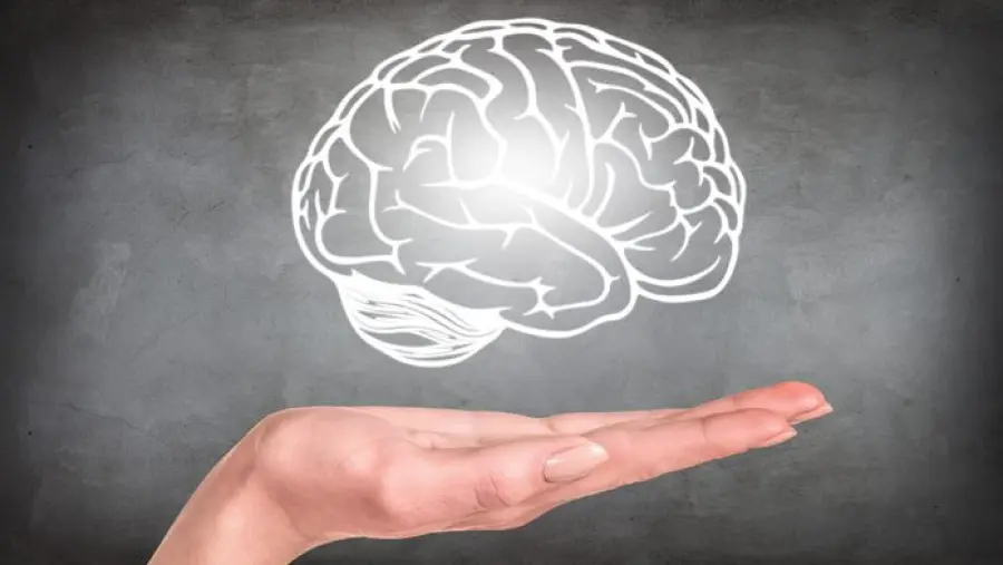 I pensieri brutti influenzano la forma del cervello