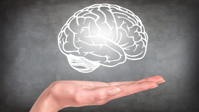 I pensieri brutti influenzano la forma del cervello