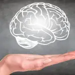 I pensieri brutti influenzano la forma del cervello