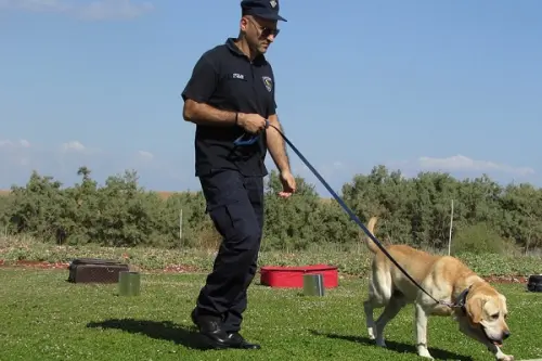 Controllo antidroga a scuola, cane annusa e segnala insegnante