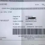 Sinnai, bolletta recapitata a Peppa Pig: lo stupore di Valeria Tolu