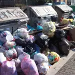 Tuffo in spazzatura: ecco la movida dei giovani romani