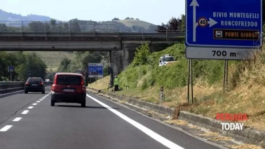 Superstrada E45, anziana cerca polli sulla corsia di sorpasso