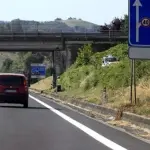 Superstrada E45, anziana cerca polli sulla corsia di sorpasso