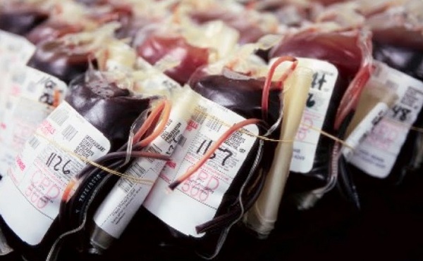 West Nile: sacche di sangue infette dal virus a Borgomanero