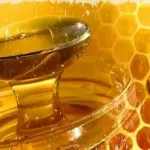 Api e miele in salvo: scoperta la cura contro i virus dannosi