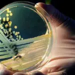 Antibiotici: un nuovo laser ha individuato i killer del farmaco