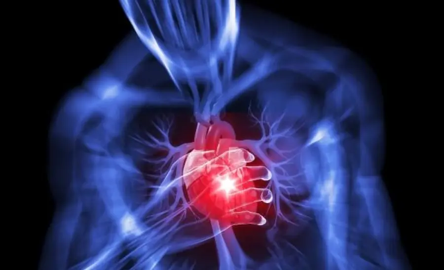 Cuore, gli italiani non se ne prendono cura. Questi i motivi