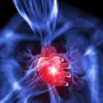 Cuore, gli italiani non se ne prendono cura. Questi i motivi