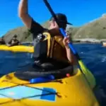 Nuova Zelanda: foca schiaffeggia un uomo con un polpo (video)