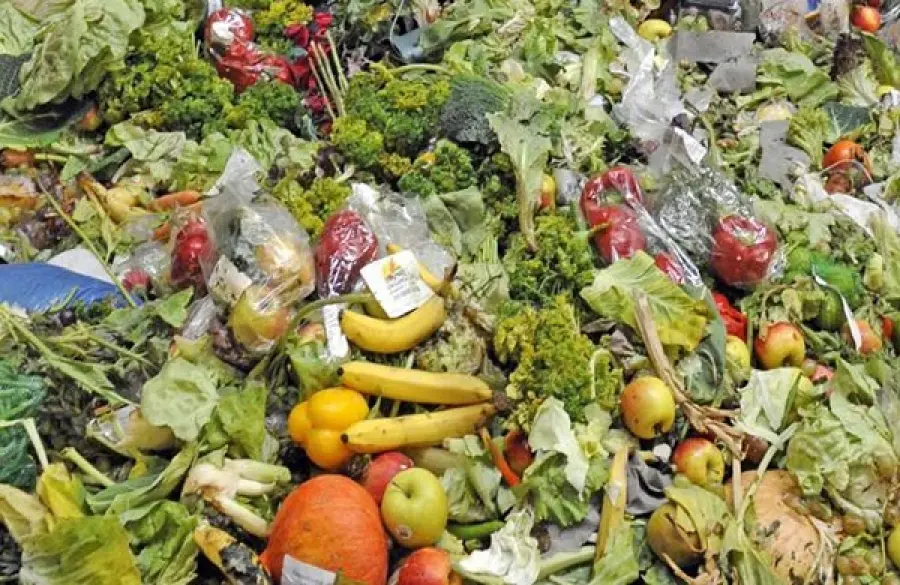 Malmo, ristorante serve solo cibi in scadenza