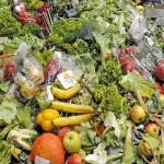 Malmo, ristorante serve solo cibi in scadenza