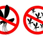 Zanzare addio: arriva la tecnica per sterminarle?