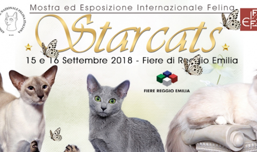 Fiera dei gatti: impazza Reggio Emilia