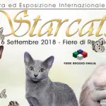 Fiera dei gatti: impazza Reggio Emilia