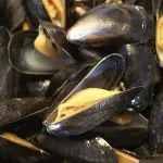 Cozze contaminate. E' allarme per Escherichia Coli