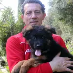 Pastore tedesco, come educarlo