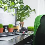Arredare l'ufficio: la giusta combinazione tra piante e mobili