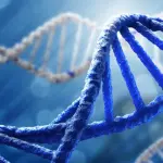 Proteina allunga la vita, la scoperta della longevità