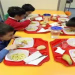 Rho, peli di animali serviti in mensa ai bambini