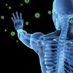 Ambiente plasma il sistema immunitario più della genetica