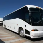 Le diverse tipologie di bus: imparare a riconoscerle per scegliere