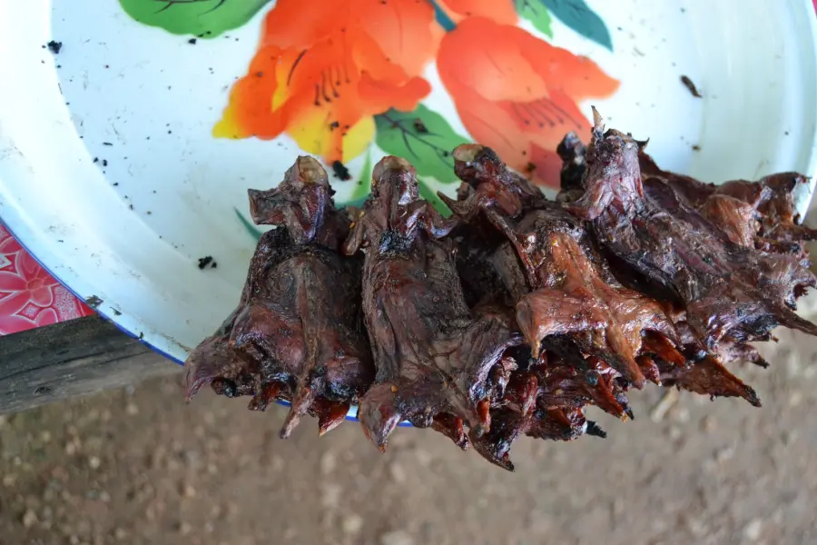 Nutrie arrosto e spiedini di topo: il nauseabondo street food torinese