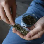 Cannabis light in tabaccheria: cosa ne pensano gli italiani?