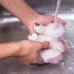 Perché il pollo non va lavato e messo sul ripiano alto del frigo?