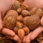 Noci, mais e soia fanno vivere di più: questione di grassi