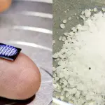 Computer più piccolo del mondo come grano di sale