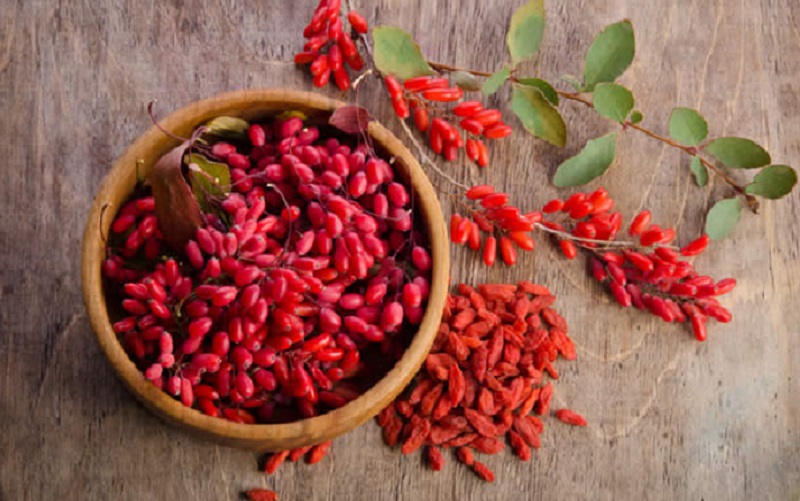 Berberina contro l'insulino resistenza, proprietà benefiche e controindicazioni