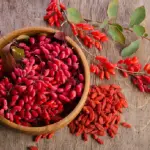 Berberina contro l'insulino resistenza, proprietà benefiche e controindicazioni