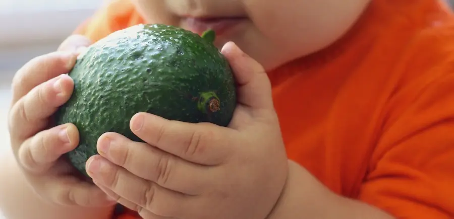 Dieta vegana potrebbe uccidere i bimbi se gestita male