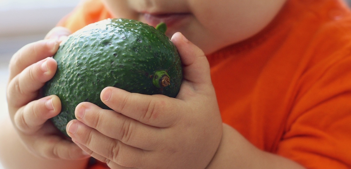 Dieta vegana potrebbe uccidere i bimbi se gestita male