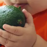 Dieta vegana potrebbe uccidere i bimbi se gestita male