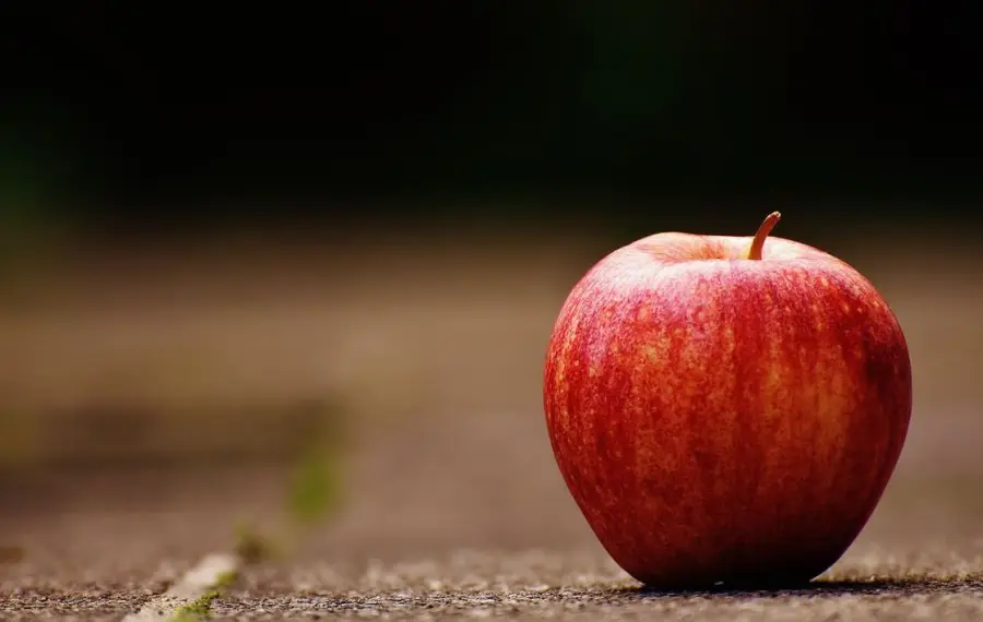 Mela annurca blocca caduta dei capelli nei pazienti chemioterapici